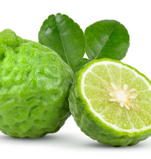 
                  
                    Bergamot
                  
                