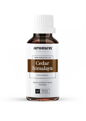 
                  
                    Himalaya Cedar
                  
                